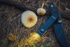 OLIGHT ARKFELD PRO