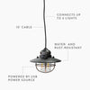 Barebones Living Edison Pendant Light Bronze