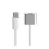 Laifen Wave Toothbrush - Type-C Magnetic Charging Cable