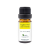 Powerology Signature Scent Premium Fragrance Oil