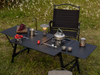Buerk IGT Folding Table